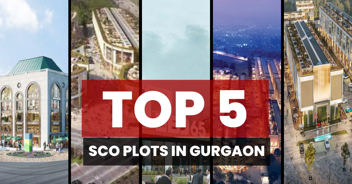 Top 5 SCO Plots in Gurgaon